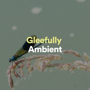 Album Gleefully Ambient from 