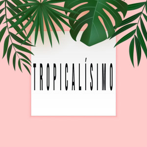 Listen to Salsacumbiando song with lyrics from Julio Beque