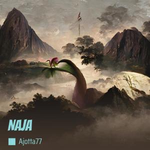 Album Naja (Explicit) from Ajotta77