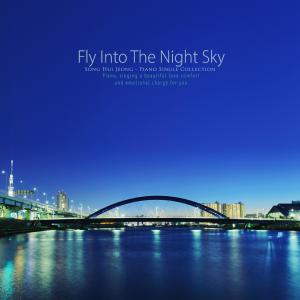Fly the night sky