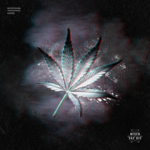 Listen to Faded song with lyrics from Rickyxsan