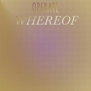 Listen to Operate Whereof song with lyrics from Mitt Sner