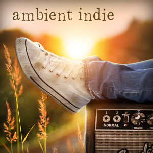 Various Artists的專輯Ambient Indie