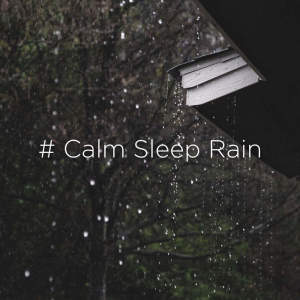 Dengarkan ASMR Rain Sounds lagu dari Rain Sounds dengan lirik