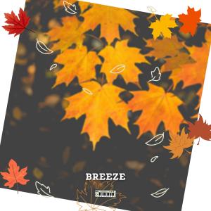 ดาวน์โหลดและฟังเพลง Breeze พร้อมเนื้อเพลงจาก Lowkey Vanni