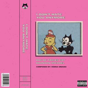 I Don't Hate You Anymore (Explicit)
