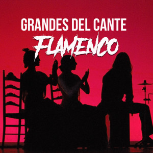 Listen to El Dinero Que Me Importa song with lyrics from Pepe Nuñez "El Loreño"