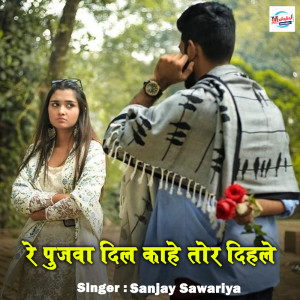 收聽Sanjay Sawariya的Re Pujba Dil Kahe Tor Dihale歌詞歌曲