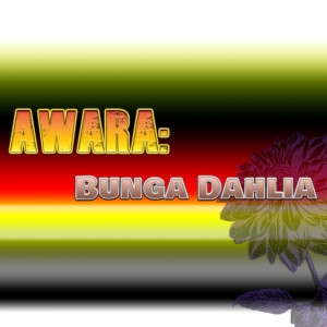 Awara: Bunga Dahlia