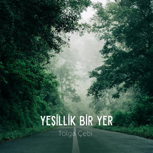 Album Yeşillik Bir Yer from Tolga Çebi