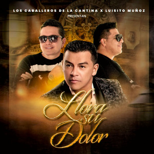 收聽Los Caballeros de la Cantina的Llora Su Dolor歌詞歌曲