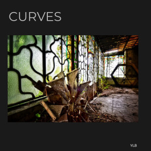 收聽Yves le Brugune的CURVE IT CURVE歌詞歌曲