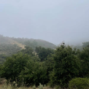 ดาวน์โหลดและฟังเพลง trench (feat. lil bit) (Explicit) พร้อมเนื้อเพลงจาก dustbx