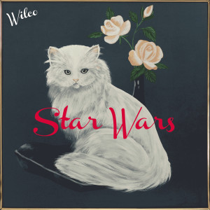 ดาวน์โหลดและฟังเพลง More... พร้อมเนื้อเพลงจาก Wilco
