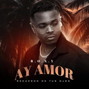 Listen to Ay Amor (Recuerdo de tus ojos) (feat. Polancgraphs) song with lyrics from Bony