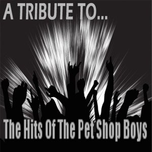 收聽The Pop Hit Crew的Always On My Mind - (Tribute To The Pet Shop Boys)歌詞歌曲