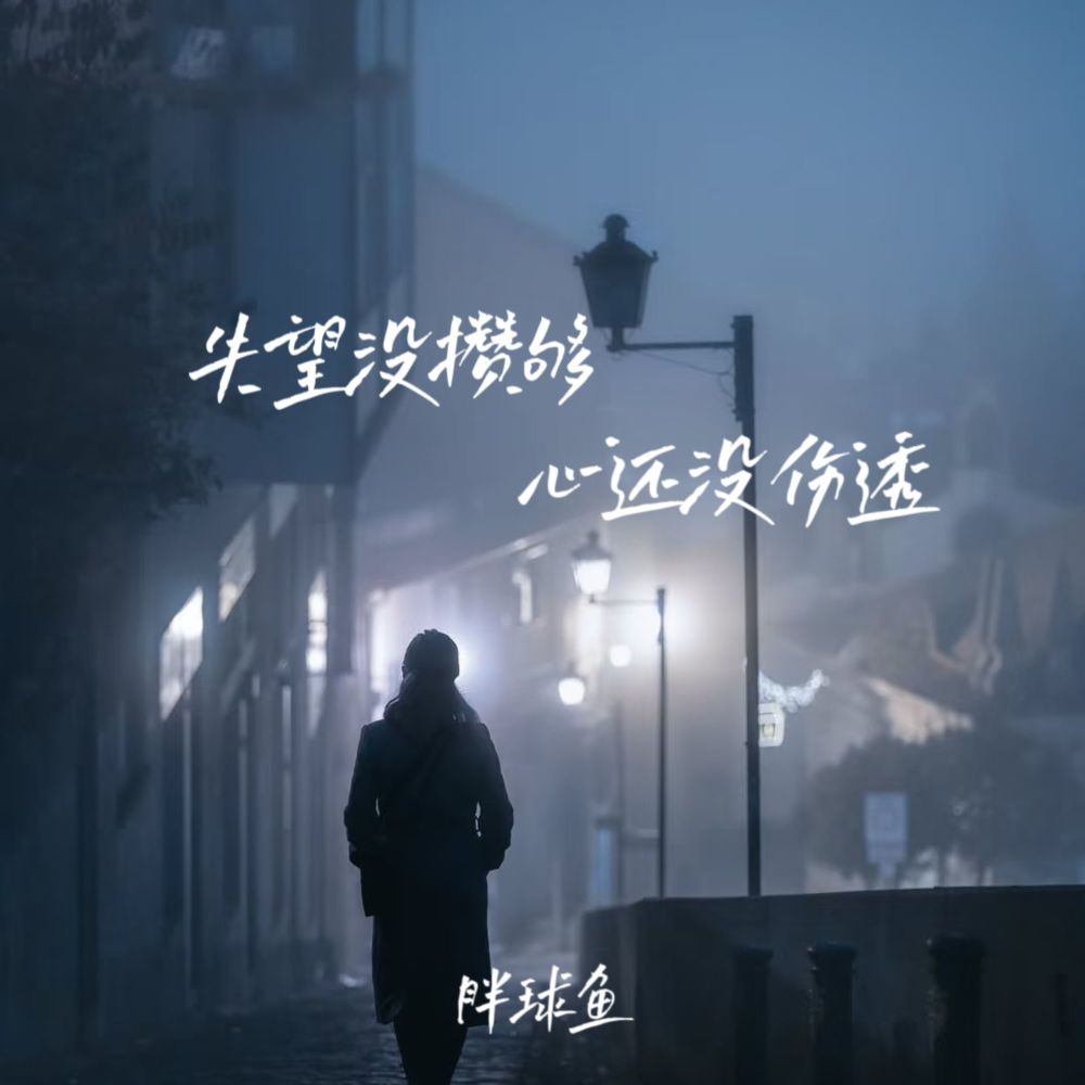 失望没攒够心还没伤透 (伴奏)