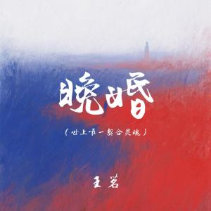 Album 晚婚(世上唯一契合灵魂) from 王茗