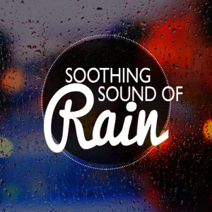 Calming Sounds的專輯Soothing Sound of Rain