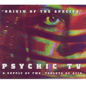 ดาวน์โหลดและฟังเพลง Stick Insect - DJ Global Remix พร้อมเนื้อเพลงจาก Psychic TV