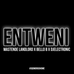 Listen to Entweni song with lyrics from Mastende Landlord