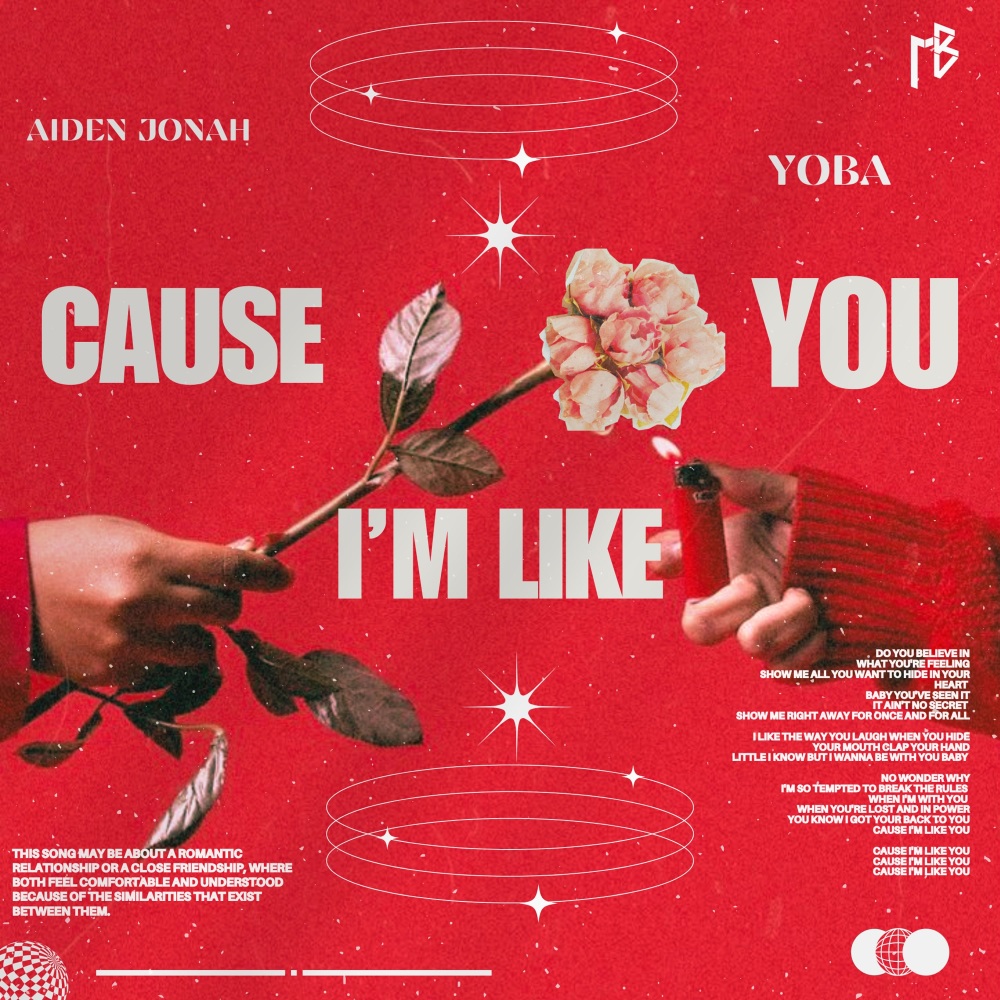 Cause I'm Like You (Extended)