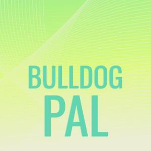 Various的专辑Bulldog Pal