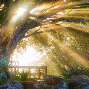 Dengarkan New Age That Is Good With Meditation lagu dari Meditation And Stability dengan lirik