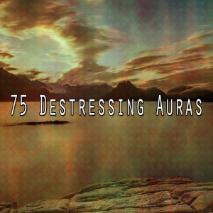 Album 75 Destressing Auras from Zen Music Garden