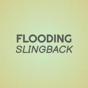 Various Artists的專輯Flooding Slingback