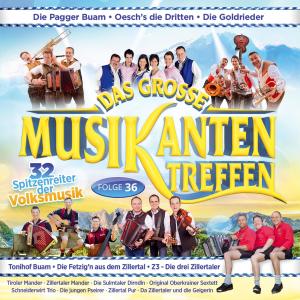 Album Das große Musikantentreffen - Folge 36 from Various Artists