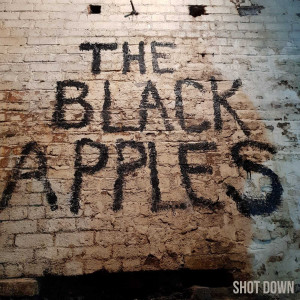 ดาวน์โหลดและฟังเพลง Got a Girl พร้อมเนื้อเพลงจาก The Black Apples