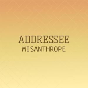 Various的专辑Addressee Misanthrope