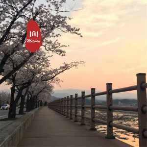 Dengarkan lagu 送你一朵小红花 (DJ版) nyanyian 乌合 dengan lirik