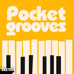 JAY PRICE的專輯Pocket Grooves