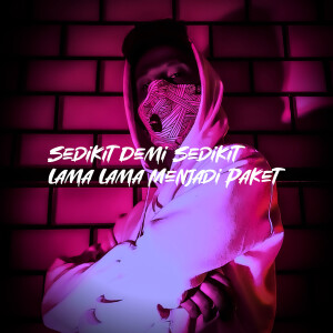 Album Sedikit Demi Sedikit Lama Lama Menjadi Paket from Twentyfo