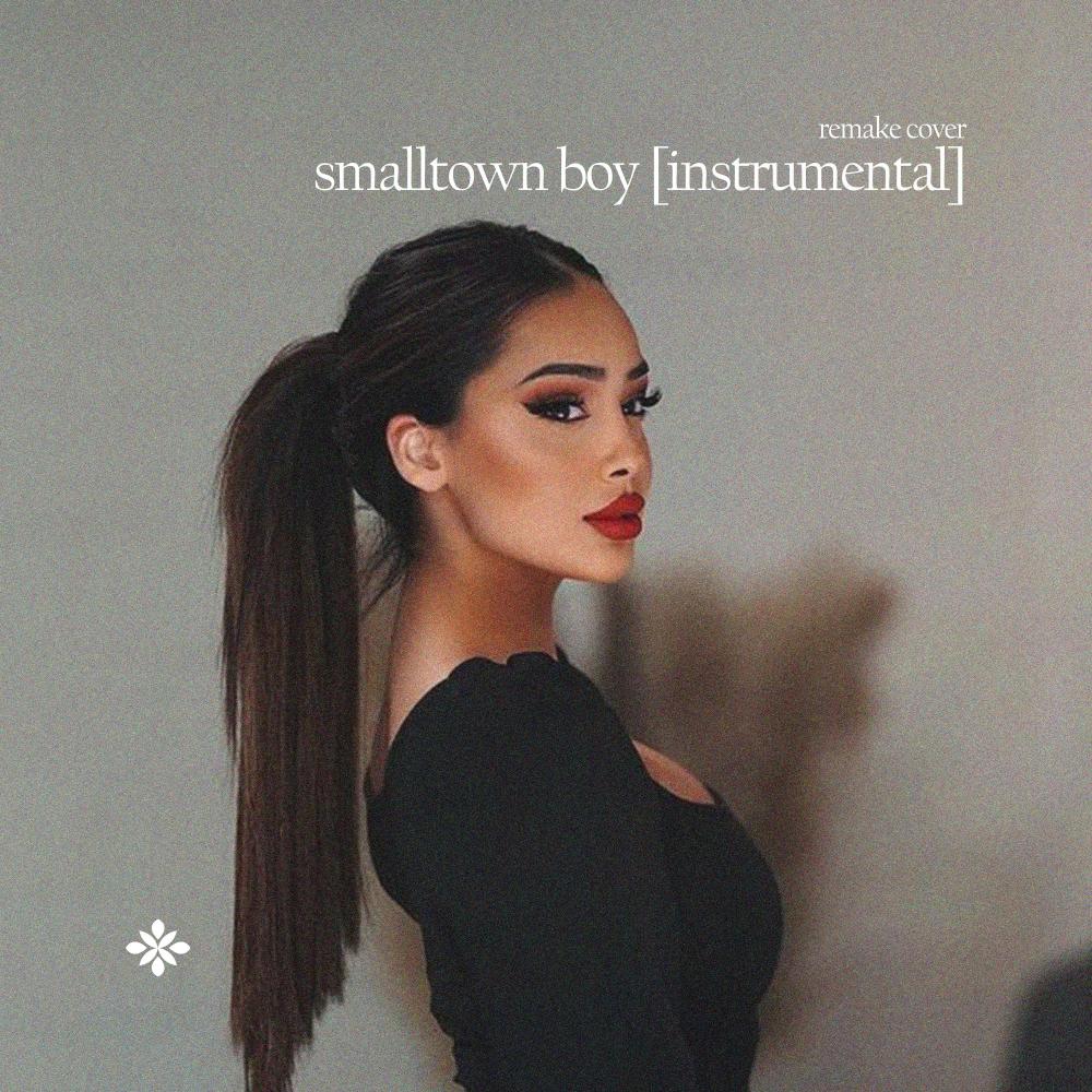 Smalltown Boy (Cover Instrumental)