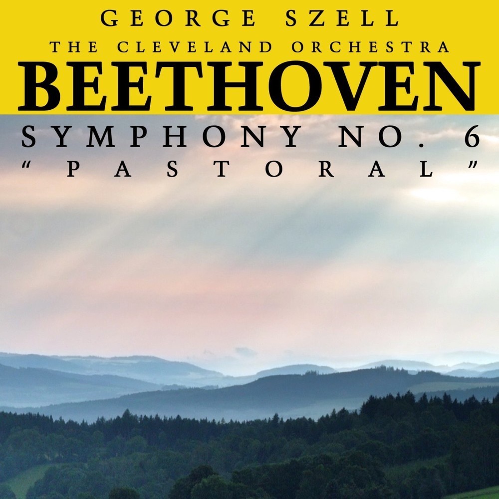 Symphony No. 6 in F Major, Op. 68 "Pastoral": III. Allegro - Lustiges Zusammensein der Landleute (Jolly gathering of country folk)