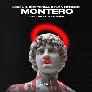 Album Montero (Call Me By Your Name) from Level 8