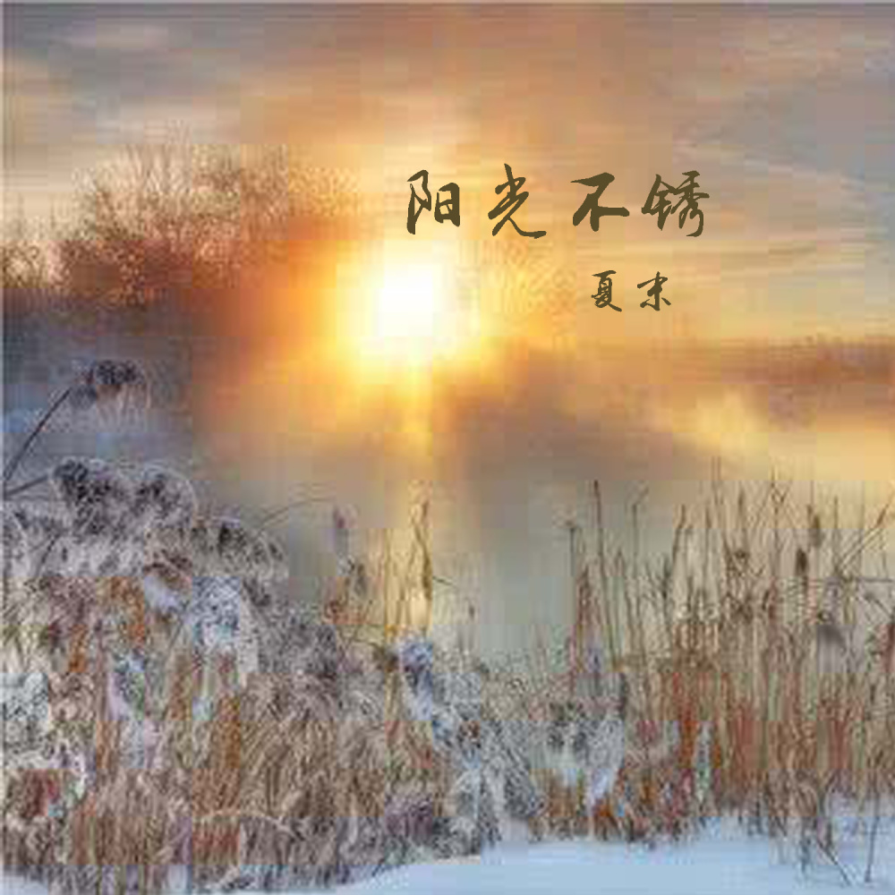 阳光不锈 (伴奏)