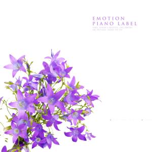Listen to It's Okay If You Get Tired song with lyrics from Blue Window