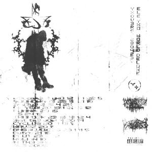 收聽ele的WALKiN 10 (Explicit)歌詞歌曲