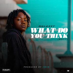 Album What Do You Think (WDYT) from Malaxxy