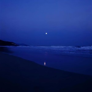 世间难有常青树 dari 柳轻颂