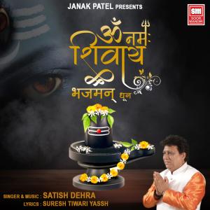 Listen to Om Namah Shivay Bhajman Dhun song with lyrics from Satish Dehra