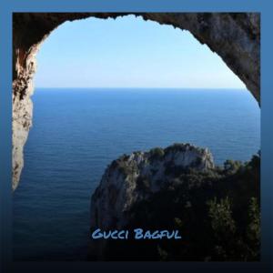 Various的专辑Gucci Bagful
