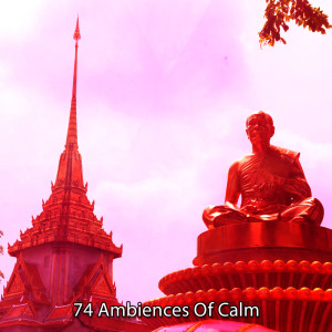74 Ambiences Of Calm dari White Noise Research