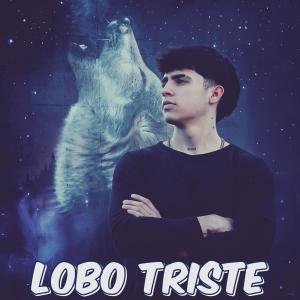 收聽The Young Wolf的Lobo Triste (Explicit)歌詞歌曲
