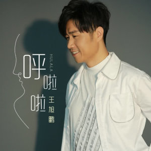 Album Flapping Sound from 王旭鹏