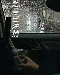 Album 账号已注销小提琴 from 江晨